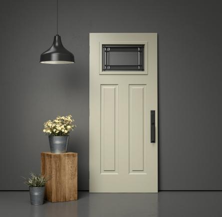 Entry door Ecoline